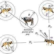  Jankinsoni: Une créature microscopique avec des cils en mouvement perpétuel et une stratégie de chasse surprenante!