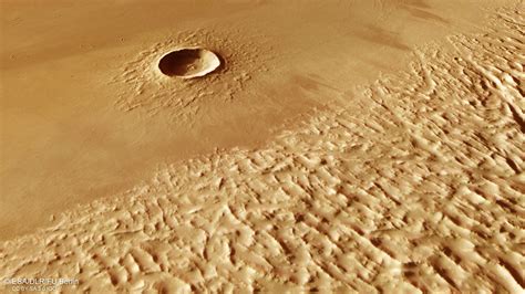  Olympus Mons! Découvrons le mystérieux monde d'un Amoebozoaire aux frontières de l'invisible.